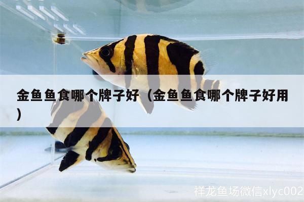 蘇虎苗活餌料營養價值分析，蘇虎苗活餌料搭配建議