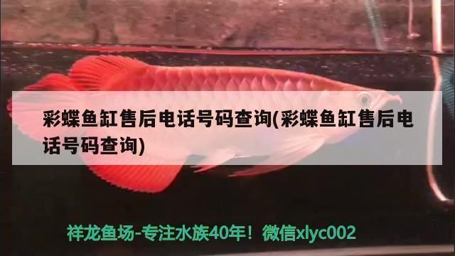 彩蝶魚(yú)缸售后，彩蝶魚(yú)缸官方維修點(diǎn)查詢(xún)