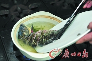 龍魚掉眼是什么問題引起的原因