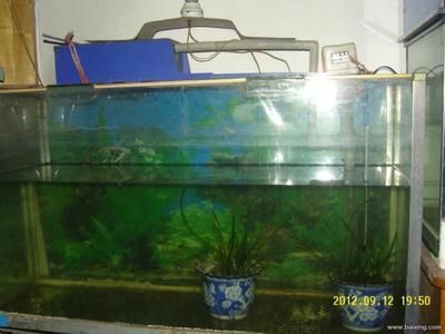 1米魚缸價格及圖片及價格，1米魚缸價格