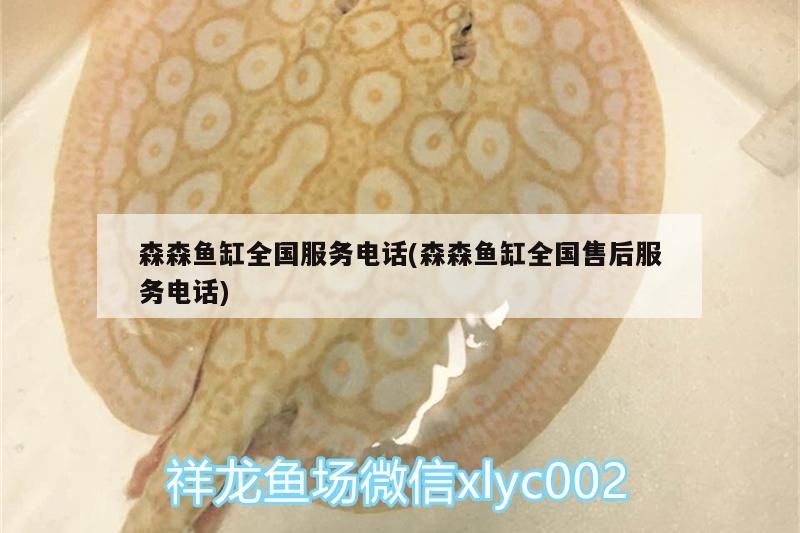森森魚缸全國服務電話(森森魚缸全國售后服務電話)