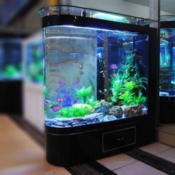 美之海魚缸是品牌嗎怎么樣：美之海魚缸怎么樣？