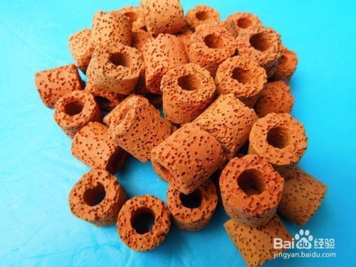 四紋虎混養(yǎng)硝化細(xì)菌培養(yǎng)技巧，四紋虎混養(yǎng)水族箱硝化細(xì)菌培養(yǎng)基自制方法