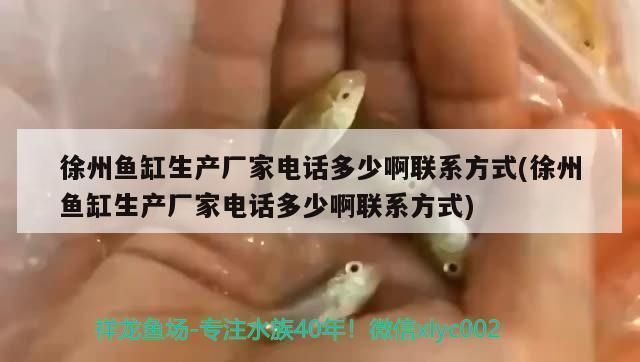 龍魚魚缸廠家電話號碼查詢，如何查詢龍魚魚缸廠家電話號碼