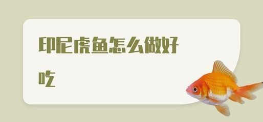 四紋虎魚飼料與活餌的營養對比，四紋虎魚飼料和活餌在營養成分上有一定的相似性