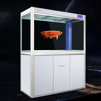 龍魚缸尺寸，關(guān)于龍魚缸的理想尺寸