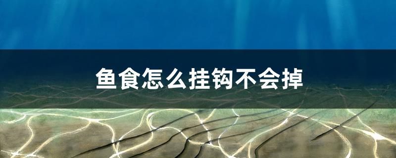 魚食怎么掛鉤不會掉