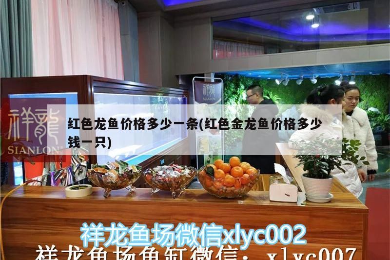 晉城魚缸維修店在哪里啊多少錢（晉城養魚） 晉城魚缸維修店在哪里啊多少錢（晉城養魚） 虎魚百科 第2張