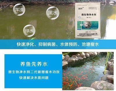 龍魚缸維他命使用方法，黑水素與維他命配比指南,