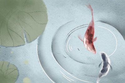 家養龍魚死了是兇是吉還是兇