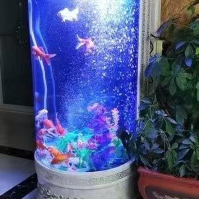 魔魚（MOMOYOO）魚缸，魔魚觀山斗魚缸mini的價格