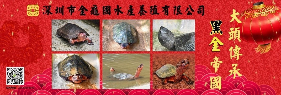 龍魚缸過濾系統安裝，龍魚缸過濾系統安裝方法
