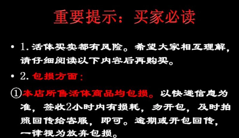 家里養的龍魚死了好不好