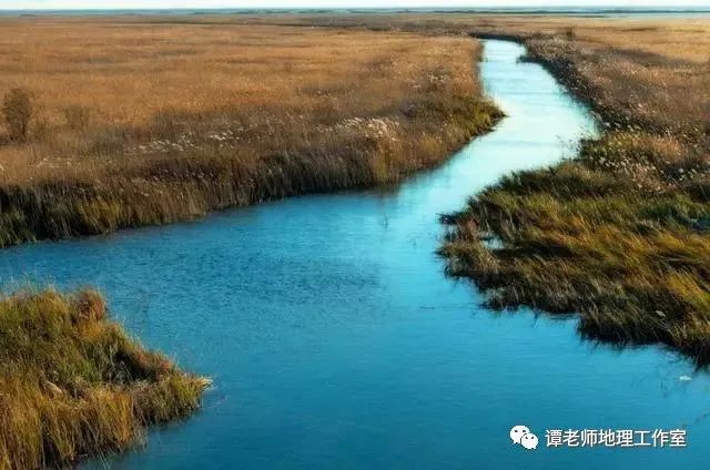 龍魚不吃東西會餓死嗎