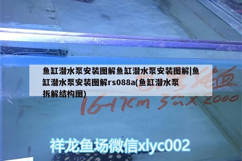 魚缸潛水泵安裝圖解魚缸潛水泵安裝圖解|魚缸潛水泵安裝圖解rs088a(魚缸潛水泵拆解結(jié)構(gòu)圖)
