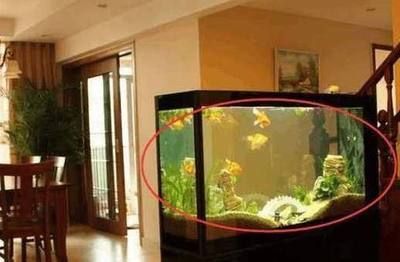魚缸氧氣泵不出氧氣視頻講解，如何正確安裝氧氣泵氣管堵塞清理技巧魚缸氧氣泵維護(hù)周期