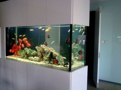 魚缸氧氣泵不出氧氣視頻講解，如何正確安裝氧氣泵氣管堵塞清理技巧魚缸氧氣泵維護周期