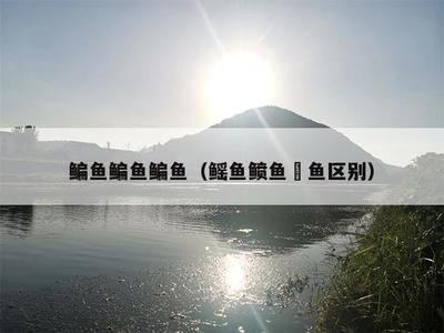 魟魚(yú)多久性成熟在幾月份開(kāi)始產(chǎn)卵的：魟魚(yú)多久性成熟在幾月份開(kāi)始產(chǎn)卵