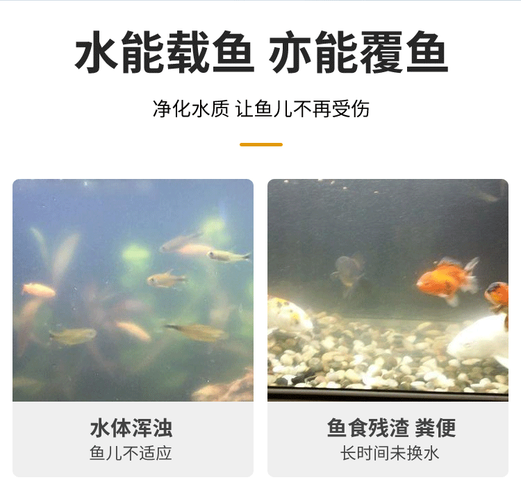 龍魚缸水質要求標準，龍魚缸水質檢測標準