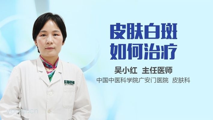 金龍魚售價多少錢一噸