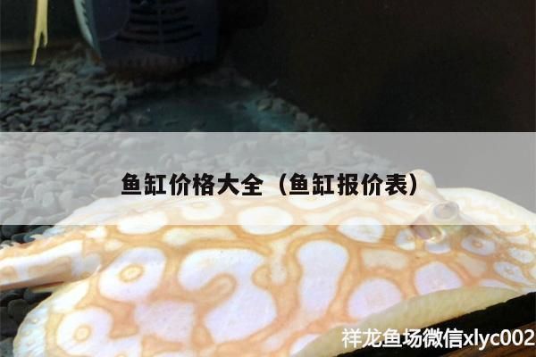 龍魚魚缸過濾盒哪里買，龍魚魚缸過濾盒如何選擇