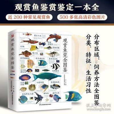 龍魚吃什么有營養又好養的品種
