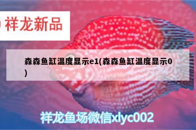 森森魚缸溫度顯示e1(森森魚缸溫度顯示0)