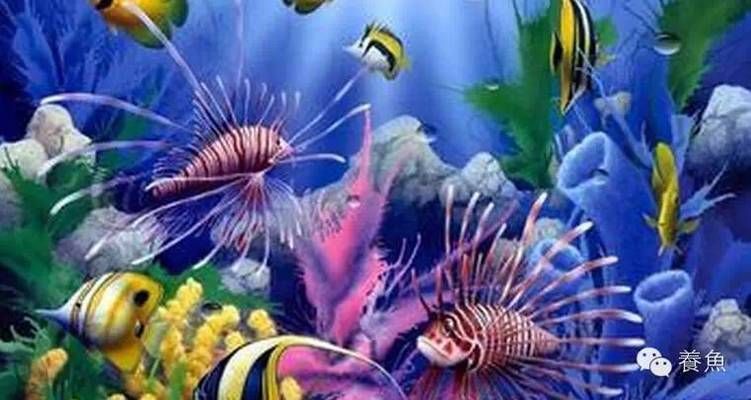 熱帶魚混養水溫控制技巧，混養熱帶魚時，水溫控制是關鍵