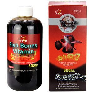 龍魚吃什么補鈣最好