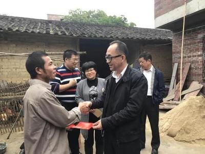 蘇虎苗日常行為觀察要點，蘇虎苗的日常行為觀察