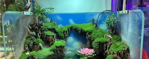 熱彎魚缸能用幾年嗎，如何正確維護熱彎魚缸延長壽命