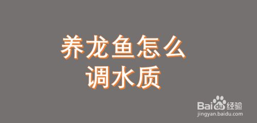 龍魚缸水質的維護，如何保持龍魚缸水質清潔與平衡