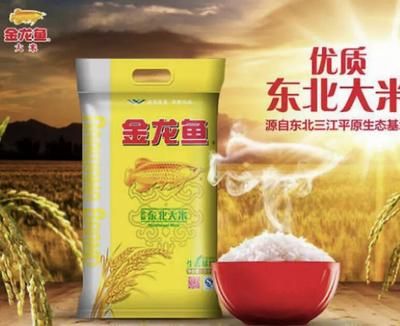 如何刺激銀龍魚開口的方法（ 如何刺激銀龍魚開口的方法視頻）