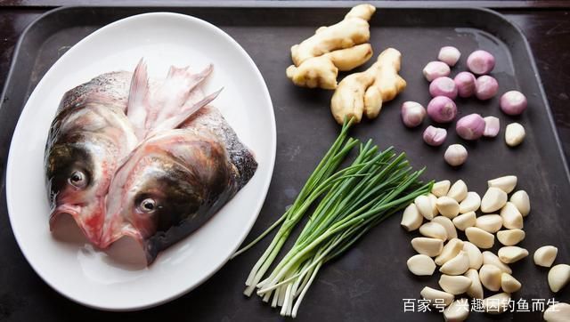 混養中層魚的食性協調方法,如何通過混養中層魚的食性協調混養中層魚的水質管理方法 虎魚百科 第4張 混養中層魚的食性協調方法,如何通過混養中層魚的食性協調混養中層魚的水質管理方法 混養中層魚的食性協調方法,如何通過混養中層魚的食性協調混養中層魚的水質管理方法 虎魚百科 第4張