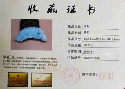 龍魚缸設計圖，龍魚缸過濾系統選型指南