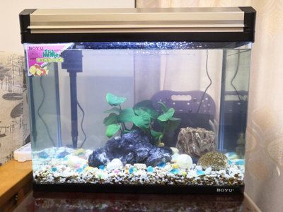 魚缸可用幾年，如何延長(zhǎng)魚缸使用壽命？