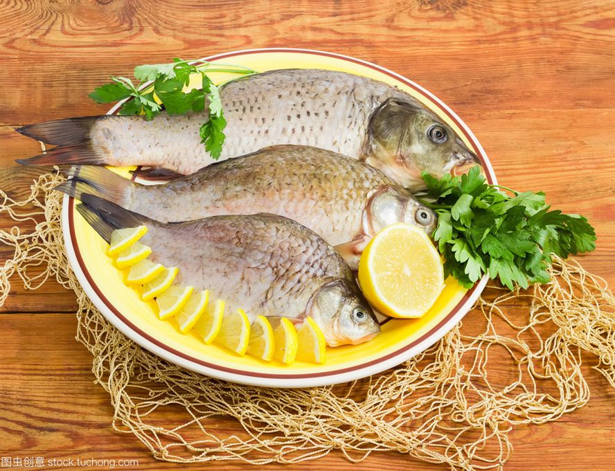 魚苗養殖方法和技術指南,魚苗高效養殖技術與方法全指南