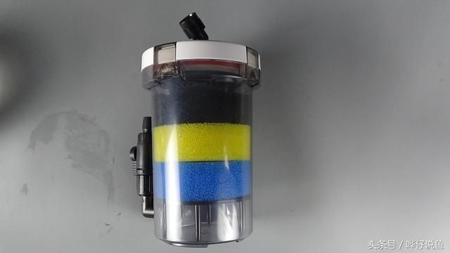 龍魚缸用過濾桶可以嗎，龍魚缸使用過濾桶可行嗎