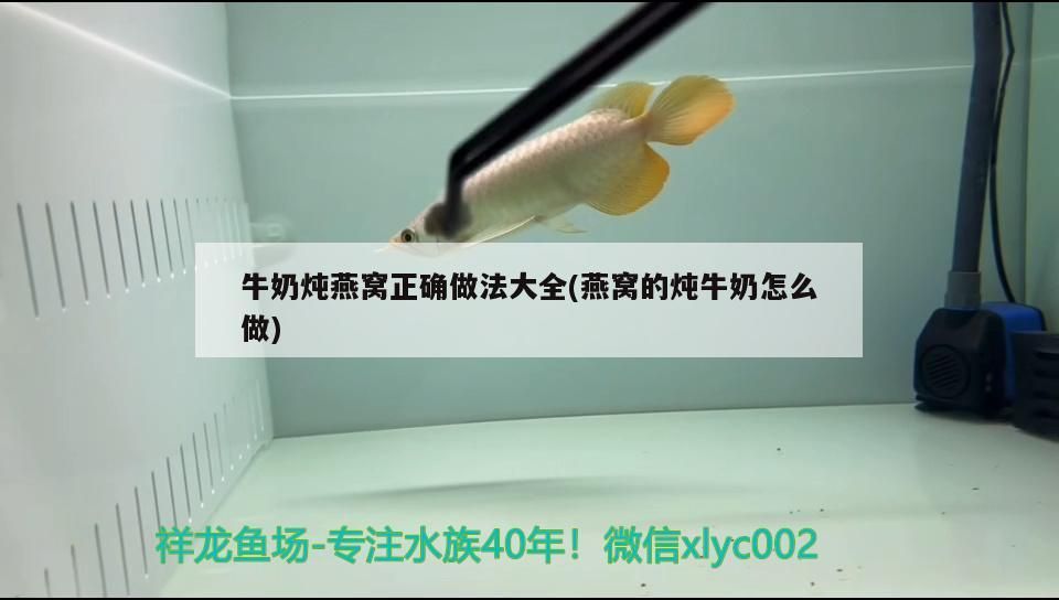 黃岡水族批發市場地址在哪里?。S岡水族館）