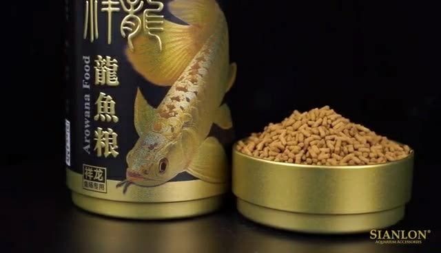 金龍魚魚糧飼料批發：金龍魚魚糧批發 金龍魚魚糧飼料批發：金龍魚魚糧批發 金龍魚