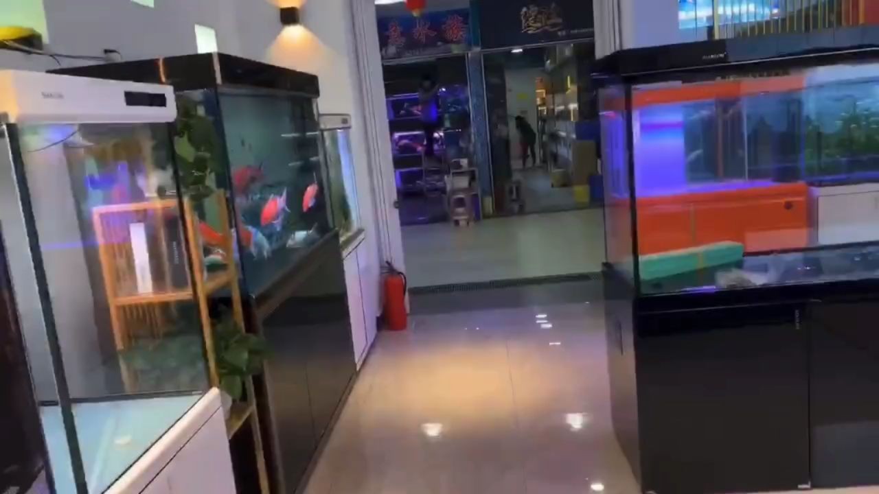 廣州魚缸批發市場祥龍品牌魚缸，祥龍品牌魚缸在廣州市的魚缸批發市場中占據顯著位置，廣州魚缸批發市場祥龍品牌魚缸占據顯著市場份額，廣州魚缸批發市場祥龍品牌魚缸占據顯著市場份額