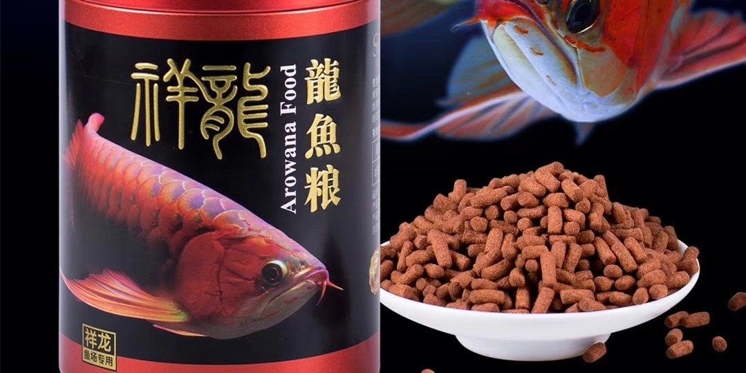 祥龍紅龍魚糧-龍魚飼料,祥龍紅龍魚糧龍魚飼料,祥龍紅龍魚糧,專業龍魚飼料