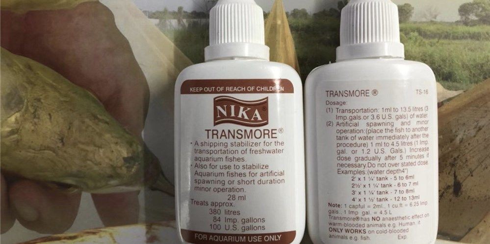 龍魚麻醉Nika。魚兒打包運輸專用產品，龍魚麻醉nika,魚兒打包運輸專用產品，龍魚麻醉Nika，專業魚兒打包運輸麻醉產品，龍魚麻醉Nika，專業魚兒打包運輸麻醉產品，龍魚麻醉Nika，專業魚兒打包運輸麻醉產品