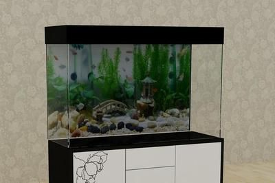 金龍魚魚缸尺寸多大合適，金龍魚的魚缸尺寸選擇