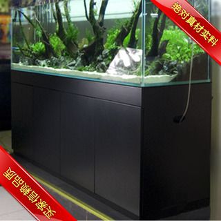 龍魚(yú)變得浮躁不安怎么回事呀
