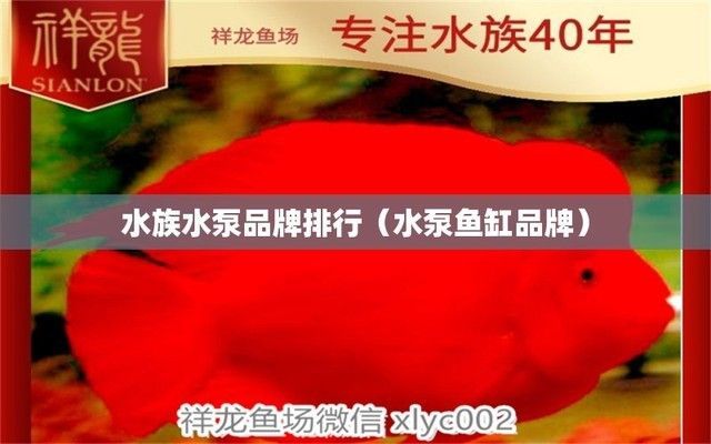 家用魚缸水泵有哪幾種品牌，家用魚缸水泵品牌性價比對比