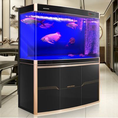 金老虎魚缸內植物配置，金老虎魚缸內植物的配置