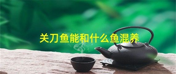 70厘米金龍魚價格表