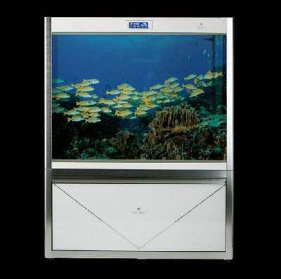 可麗愛魚缸安裝說明書視頻，南魚缸過濾系統選擇技巧