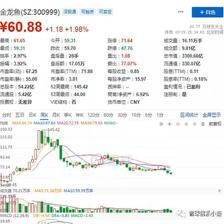 金龍魚會漲嗎